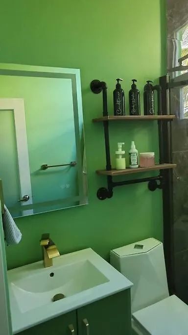Apartamento Casa Verde - Modern Apt In Santurce'S Art District In San Juan Puerto Rico